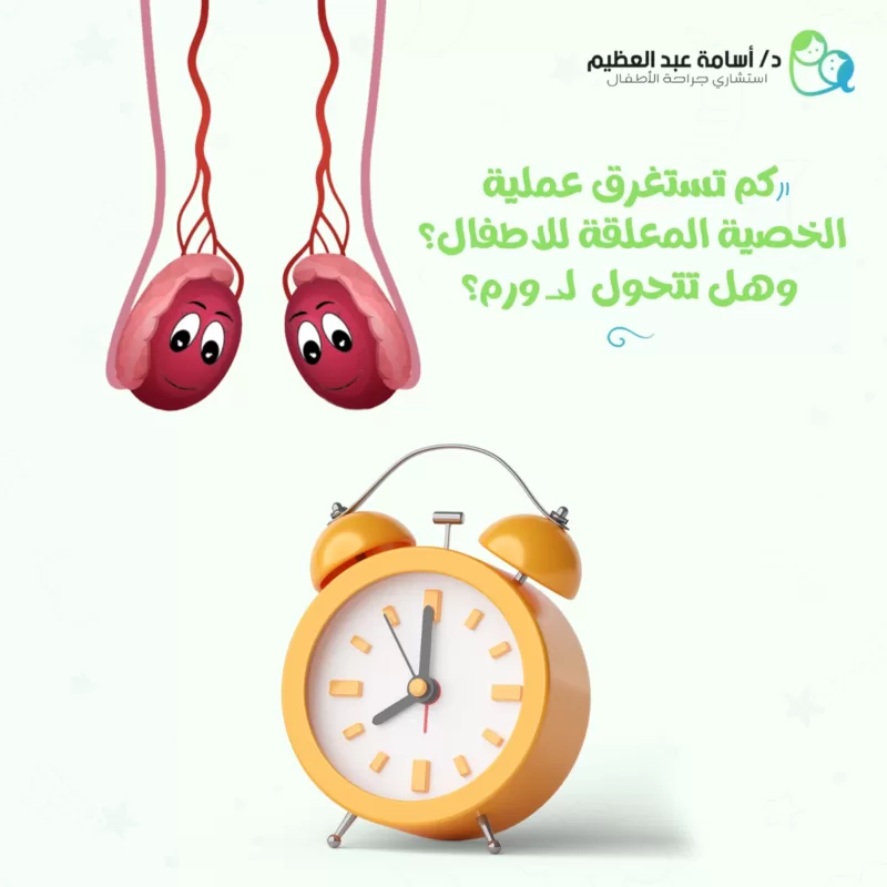 كم تستغرق عملية الخصية المعلقة